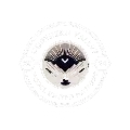 nvmun